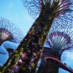 【シンガポール】ガーデンズ・バイ・ザ・ベイで近未来体験！